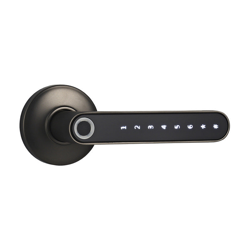 Electric Keyless Door Lock – Fingerprint & Password Smart Security Handle
